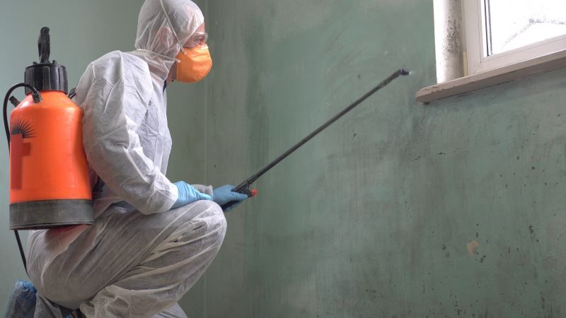 Removing Mold and Mildew