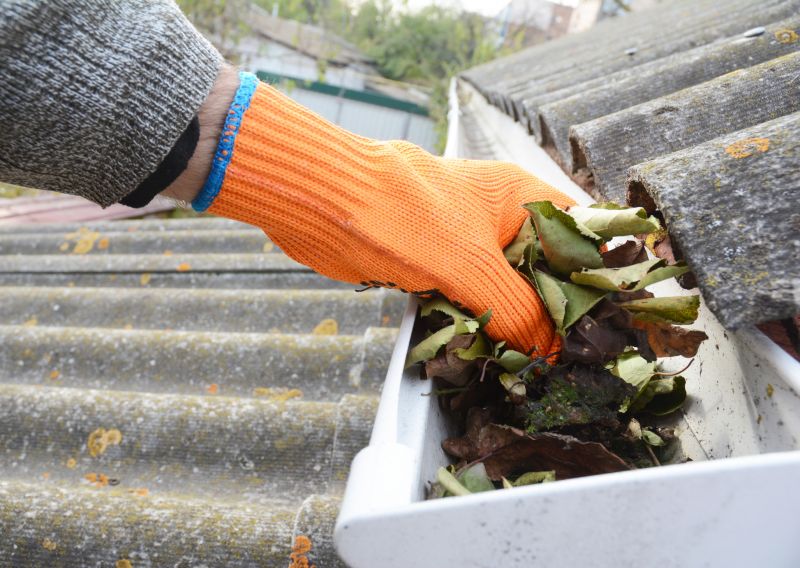 Clogged Gutter Clearing in Baltimore, MD