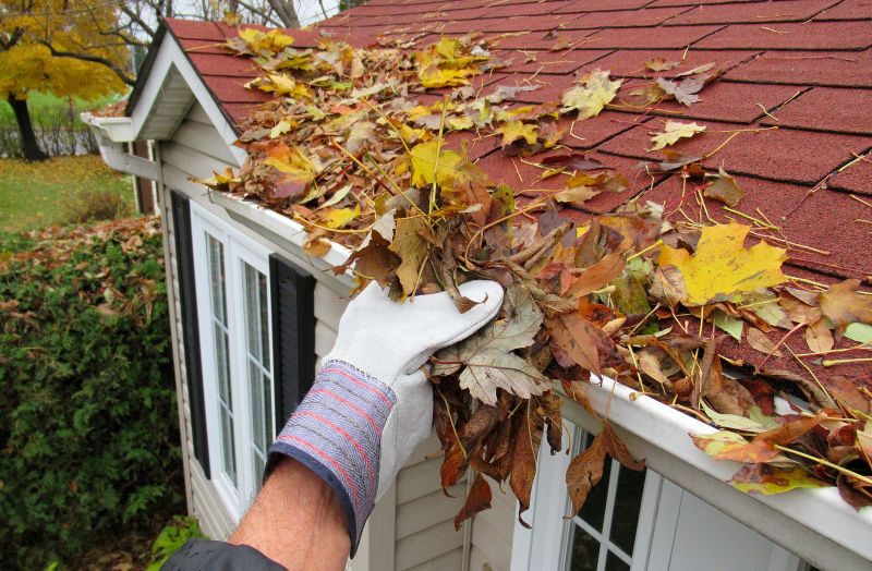 Gutter Leaf Clearing in Baltimore, MD
