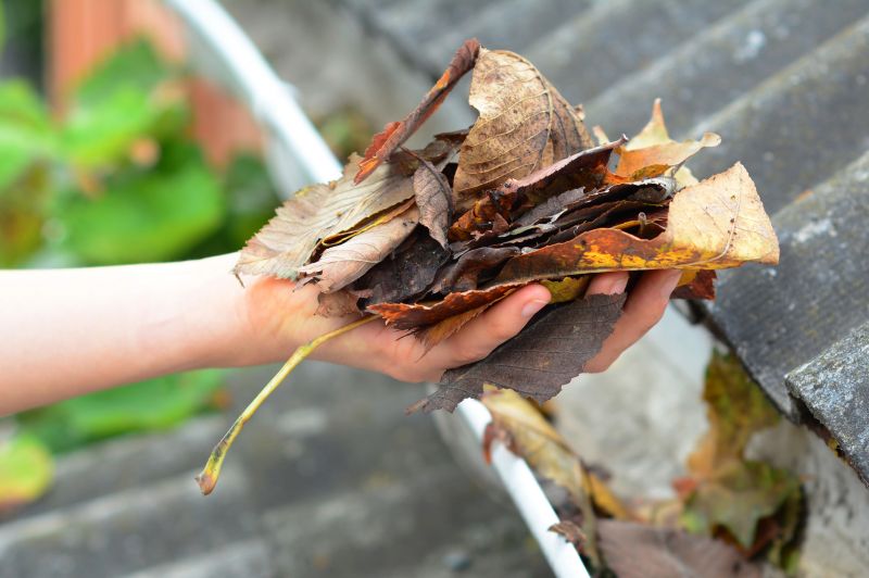 Gutter Leaves Removal in Arvada, CO