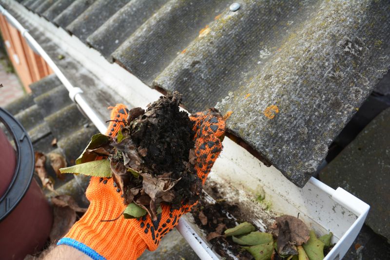 Gutter Leaves Removal in Frederick, MD