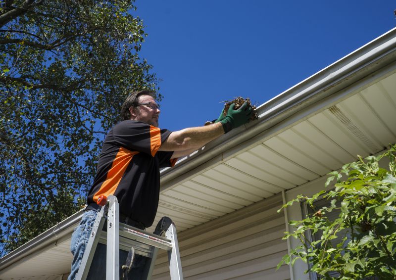 Rain Gutter Clearing in Frederick, MD
