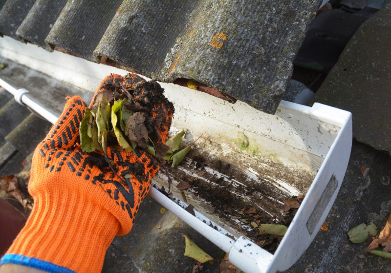 Rain Gutter Clearing in Morris County, NJ
